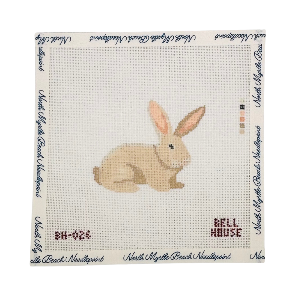 Bunny Canvas