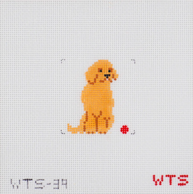 Mini Golden Retriever